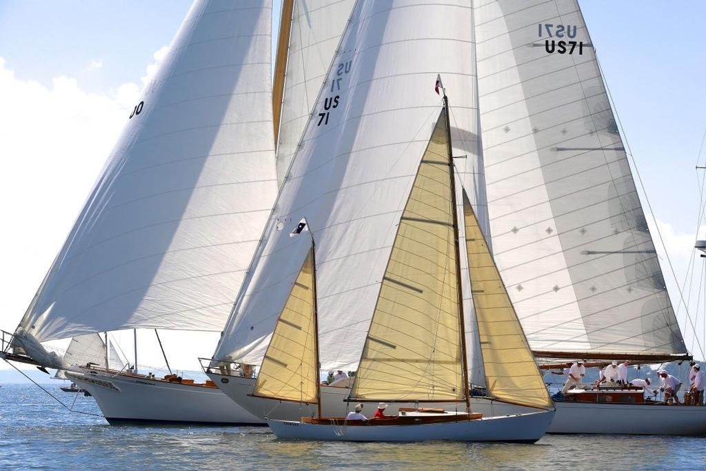 Cadenza, Black Watch, and Ticonderoga side by side © M.A. Fisher Photography